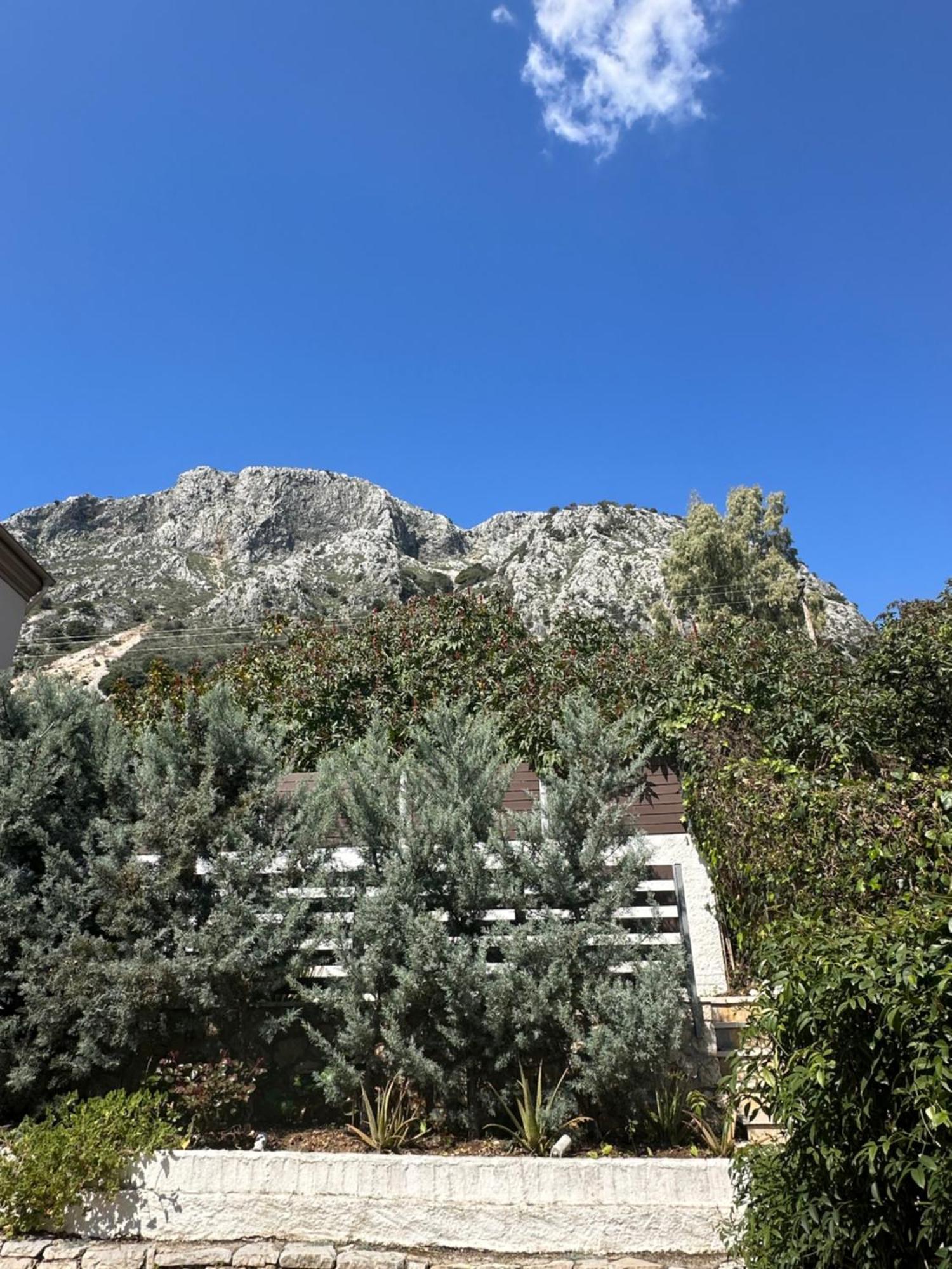 Vladimiros Appartement *