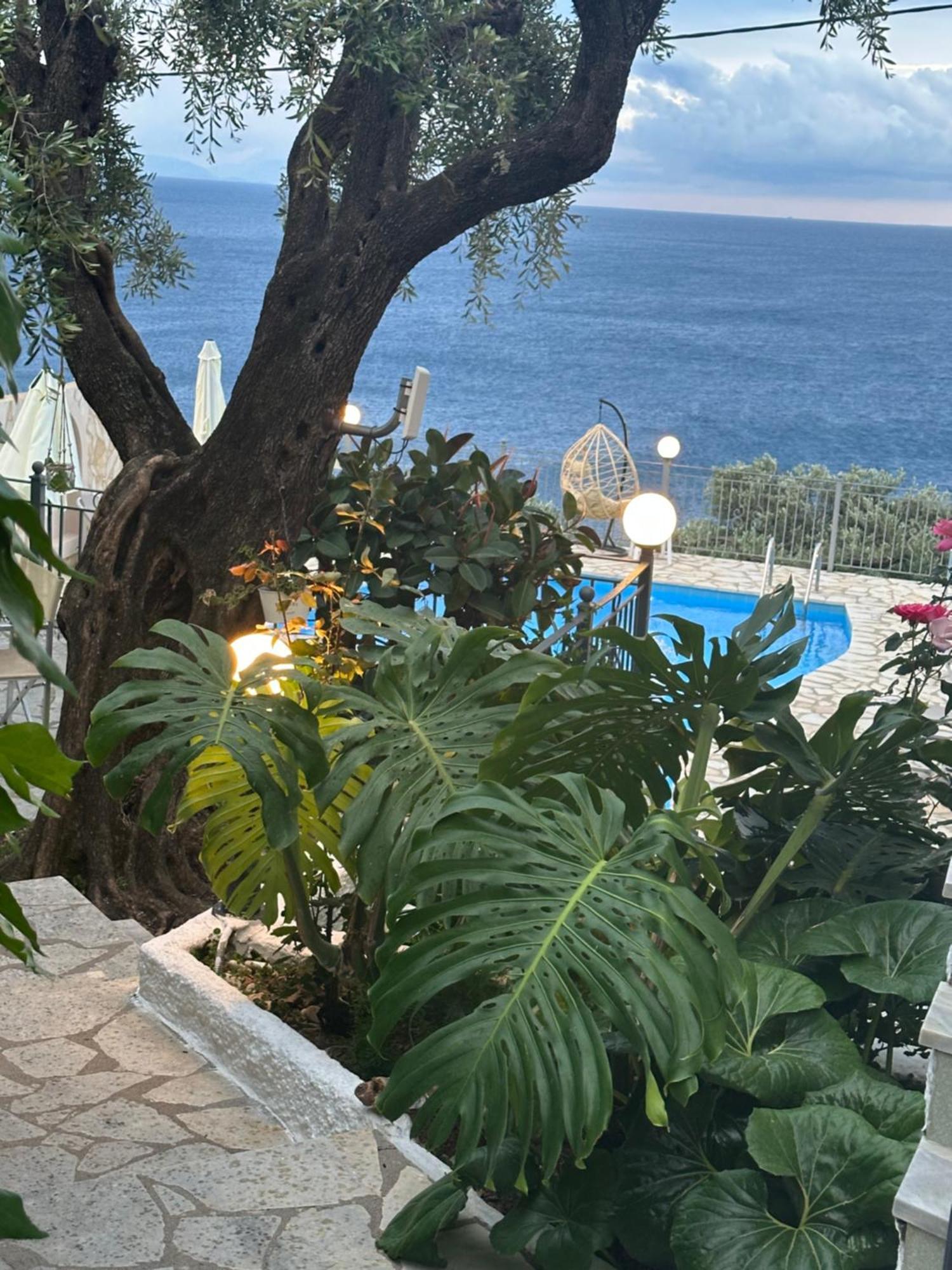 Vladimiros Appartement *