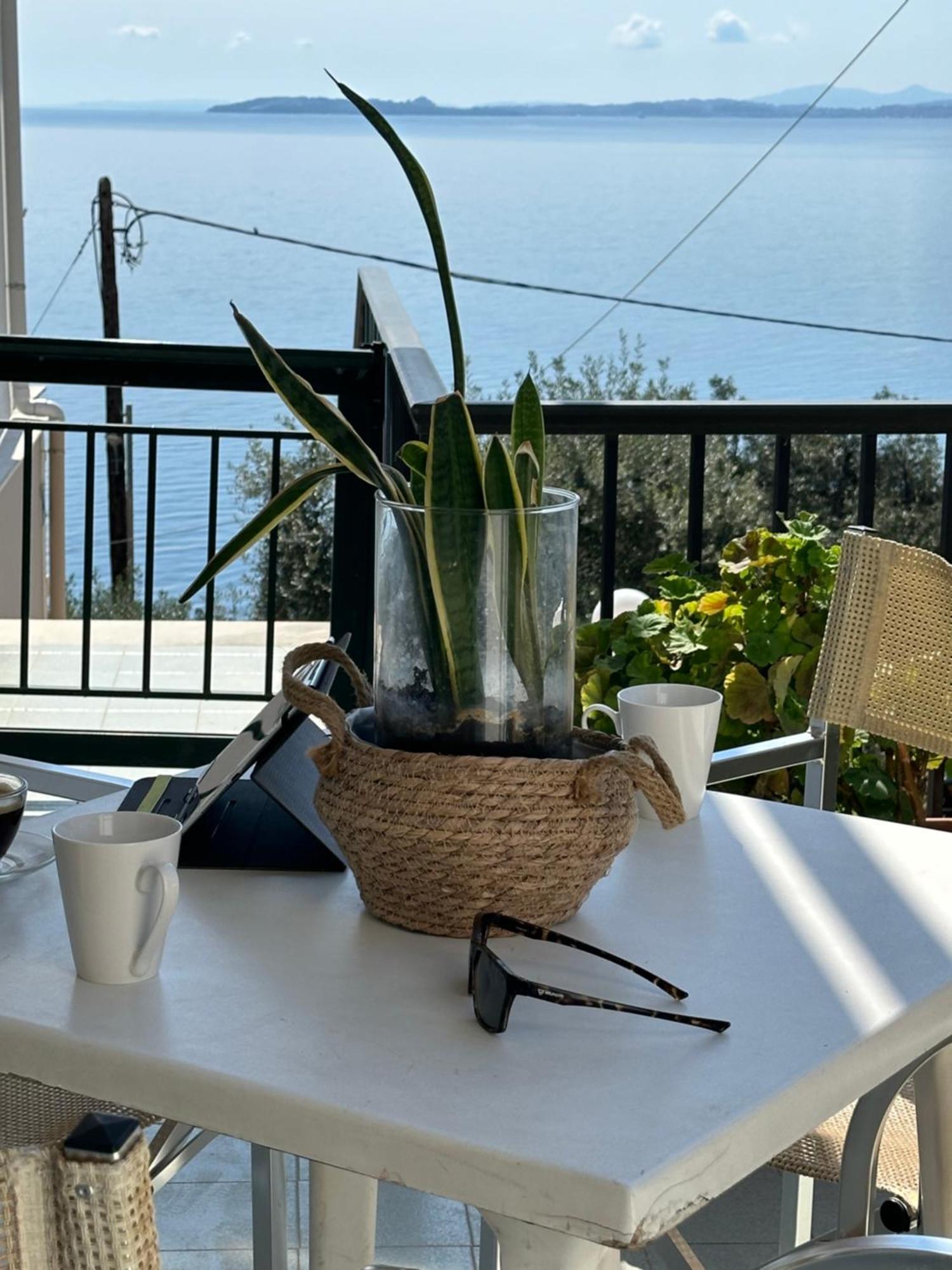 Apartament Vladimiros